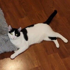 Meet your Posher, Yalonda